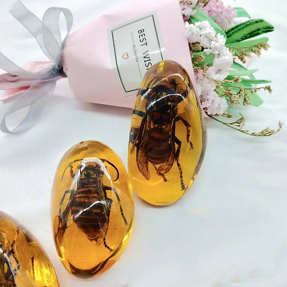 Insect Amber Gemstone