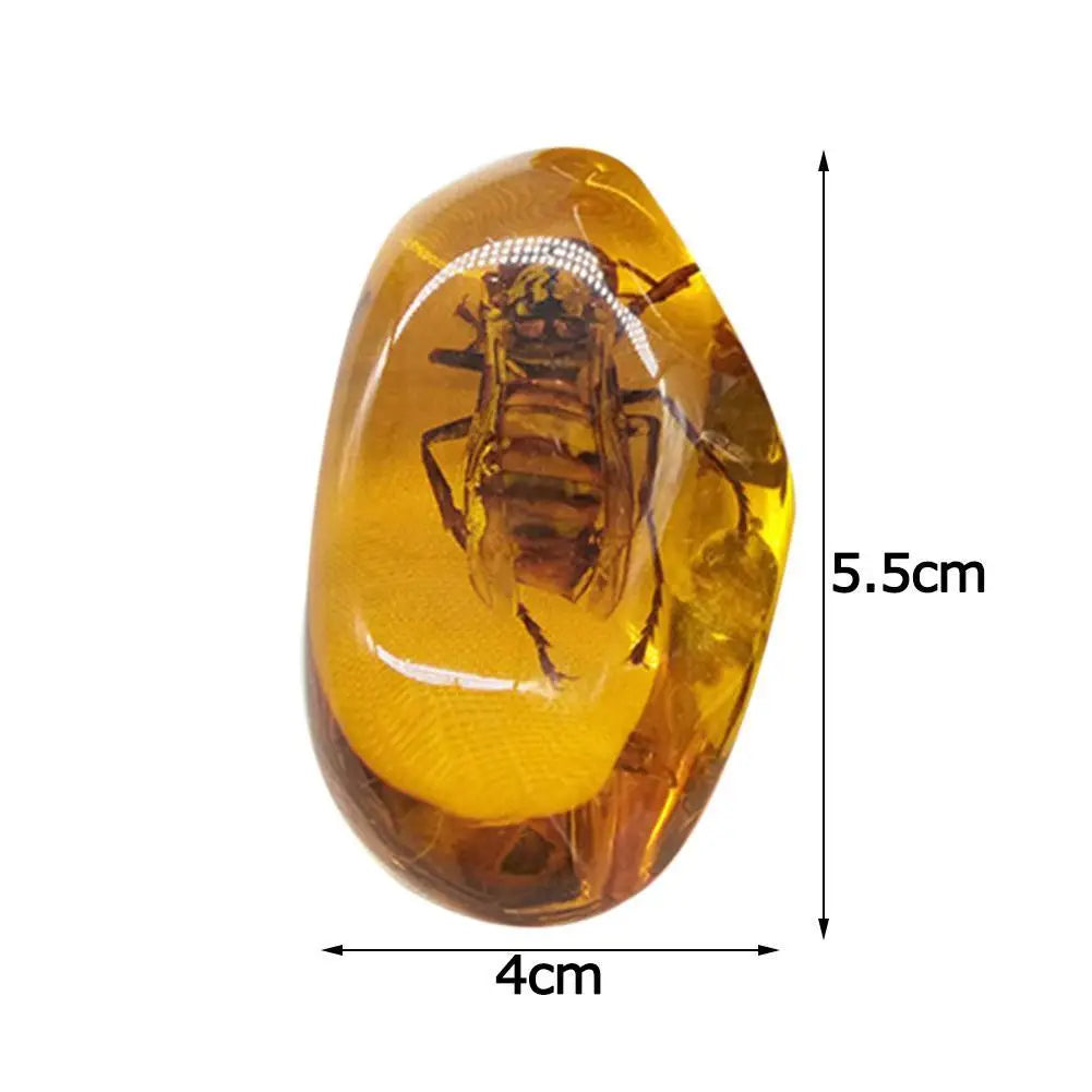 Insect Amber Gemstone