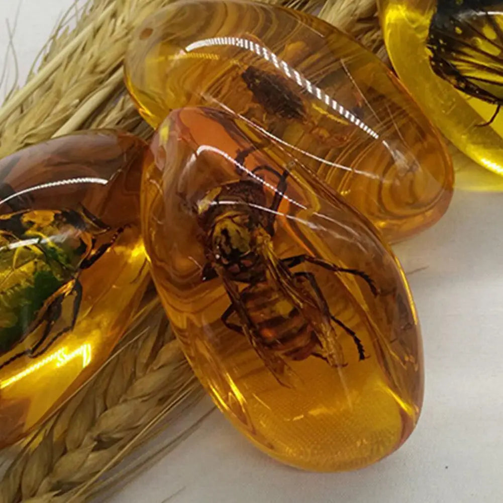Insect Amber Gemstone