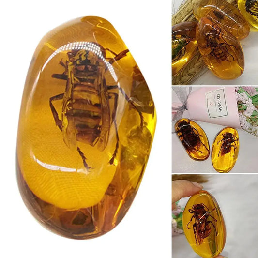 Insect Amber Gemstone