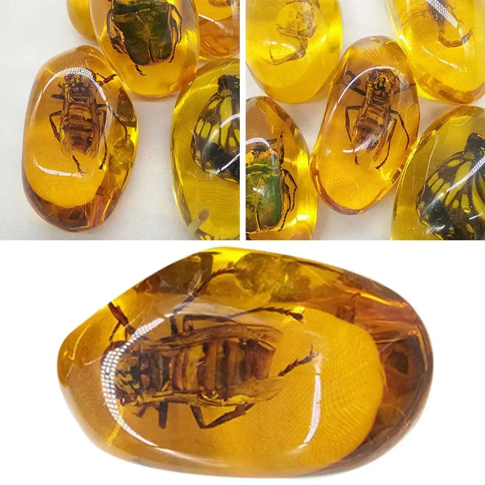 Insect Amber Gemstone